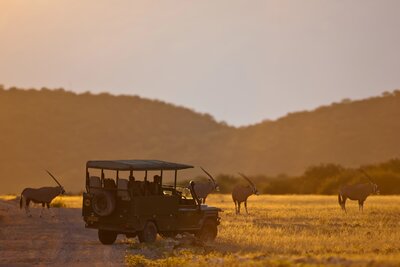 A luxury safari vehicle pauses at golden hour, surrounded by grazing wildlife in the African savanna.