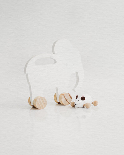 Wooden toys and props provided during photography session. Ashtyn Kohler Photography specializes in newborn and family photography in Olympia, Washington, and surrounding areas. Capture timeless, light, and airy portraits that beautifully preserve the fleeting moments of your baby's early years with a natural, heartfelt approach.
