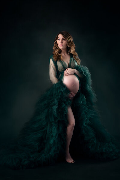 Best- Family portrait photographer in Northwest Indiana