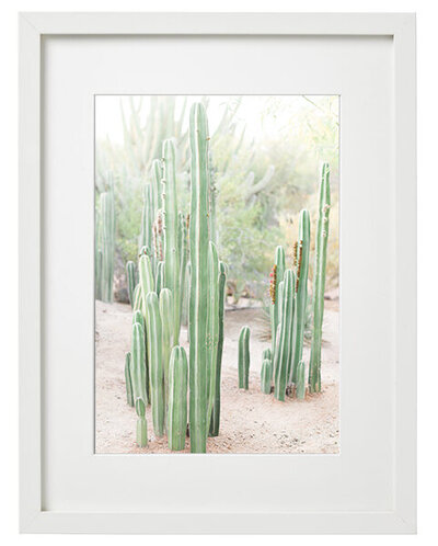 ribba-frame-white__desertbotanicalgardenprint