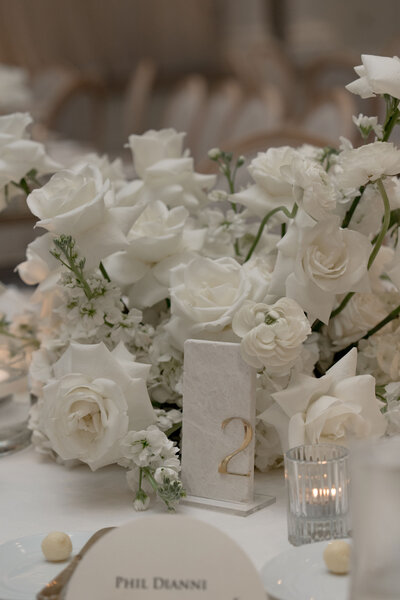 sarasota wedding photographer