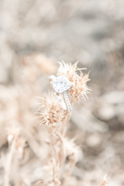 Dreamgraphy_LosAngeles_California_Kelli__0007