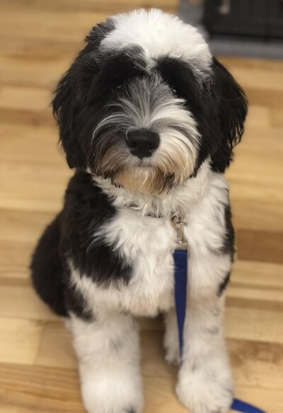 dc657421-8fb4-465a-abd3-3adb880b84fd