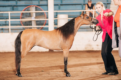 Salina Charity Horse Show