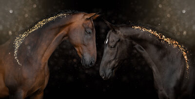 ECP09080-Edit-Edit