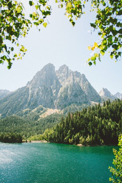 Towering mountains and a thriving forest create a captivating landscape of natural beauty