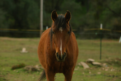 2021-03-08 HOW - Kori + Jared Photography-164