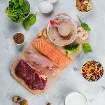 why is protein important for nutrition