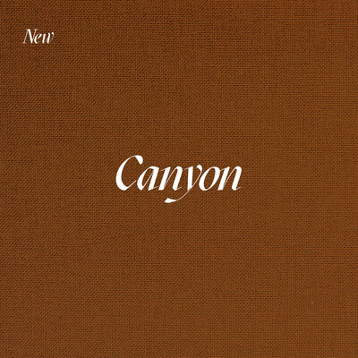canyon album cover