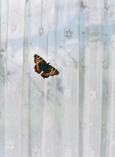 2014_Ireland_Lamb_0695