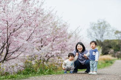 2歳の双子のきょうだいがお母さんとと一緒に手をつなぎ桜の前で撮った写真