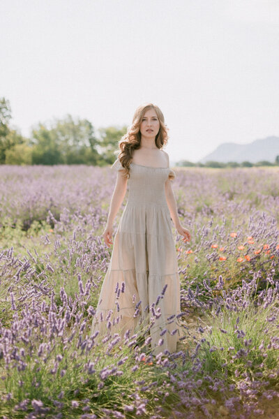 Provence France lavender Photographer