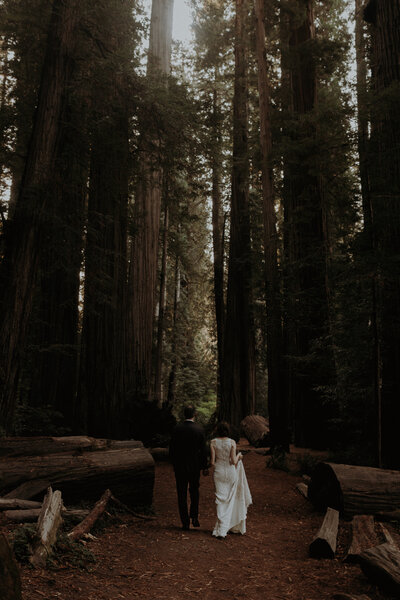 jedediah-smith-redwoods-elopement
