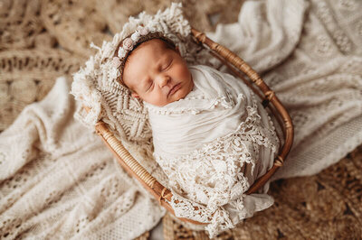 Newborn baby posed in a basket for Newborn Photos in Asheville.