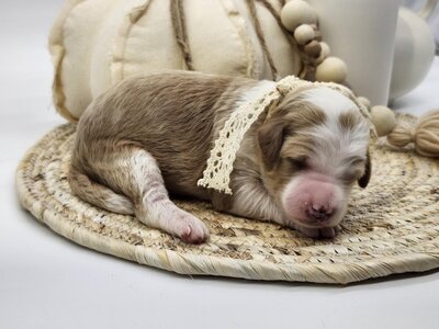 89e090bf-a51b-4001-8745-09d1e21c86eb