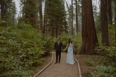 couple eloping in the redwoods in california