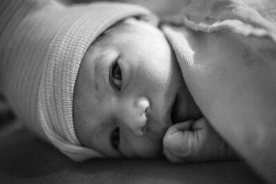Newborn Baby Fresh 48