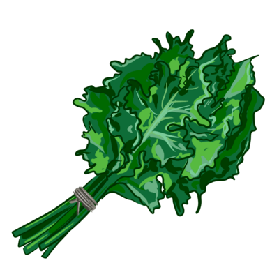 Kale illustration