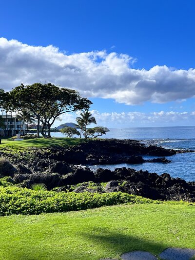 Photo of Greenery, Beaches, and Beautiful Scenery