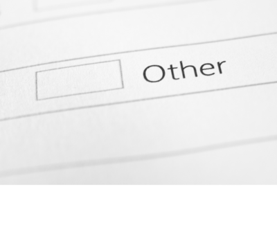 Close-up of checkbox marked "Other" on form for category suggestions

