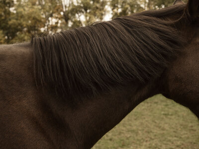 Farm&FirCo2024_Finals-8