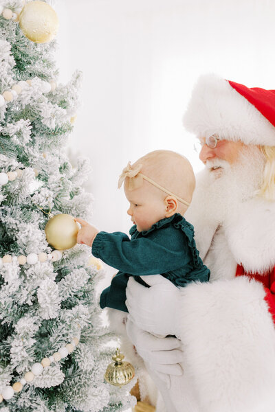 Cleveland Santa Photographer-31