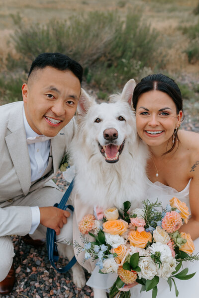 Colorado Wedding Photographer, Dogs at Weddings