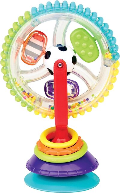 Sassy Spin Toy