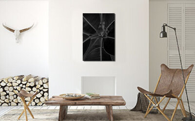 Limited Edition Fine Art Photographic Print Botanical Black and White Metal closeup of flower leaves surrounding stem title Satellite example display on wall  between coffee table and two chairs