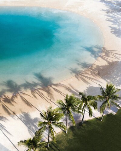 Aerial view of tropical beach with palm tree shadows answering travel destination questions. Tailored Oasis Travel Co.