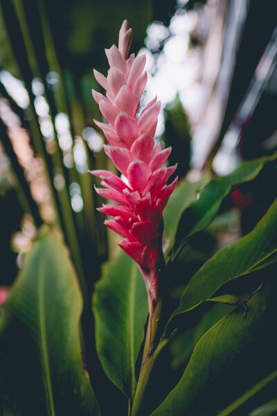 tristan-ramberg-wi2aJRYJ_-M-unsplash