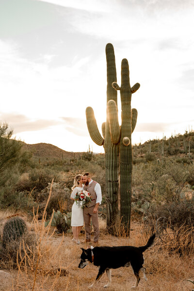 Arizona elopement photographer portfolio serving Tucson, Phoenix, and Sedona, Arizona couples and weddings