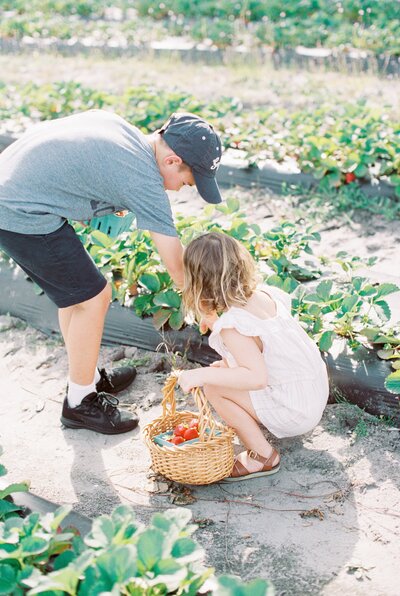 kids picking strawberries from taking better photos of your kids course