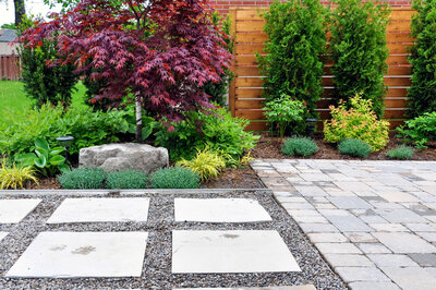 A beautifully arranged garden of Texas native plants that require minimal upkeep, selected to withstand extreme heat, drought, and seasonal changes.