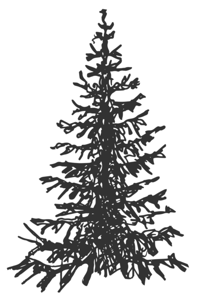 illustration of tree