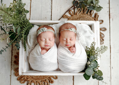 twin newborns in white swaddles in a basket on a white wood floor with greenery
