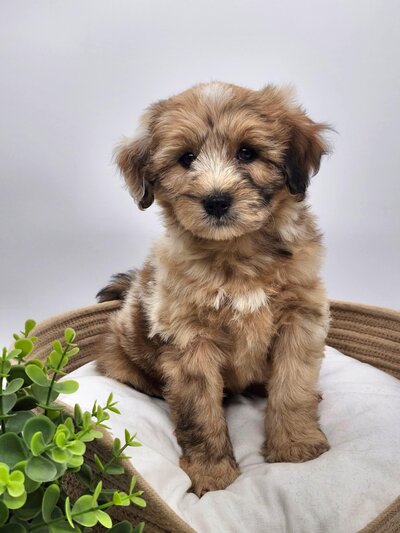 f54d0cec-47b1-4d1b-bff1-e87084444a4a