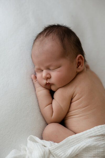 Kentucky Studio Newborn Photographer