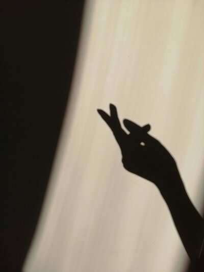 Hand Silhouette