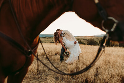 Ouray, Colorado elopement with horses,