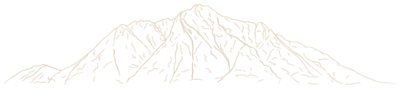 Wild Rose Logo