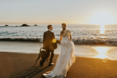 rebecca skidgel photography engagement photographer mt tam tamalpais couple holding hands looking at ocean