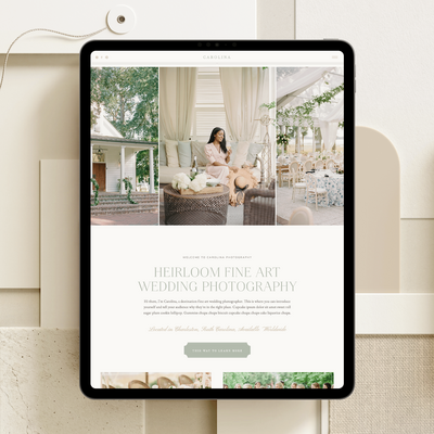 Website mockup.