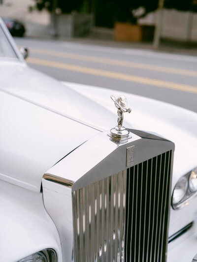 SandyandPeterWedding-270