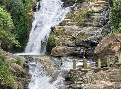 sri lanka 6