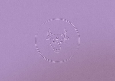EmmyStudio_Taurus