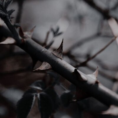 _ (14)