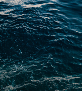 Katie Jeffers of Third Coast Yoga Therapy, a Grand Rapids yoga resource.