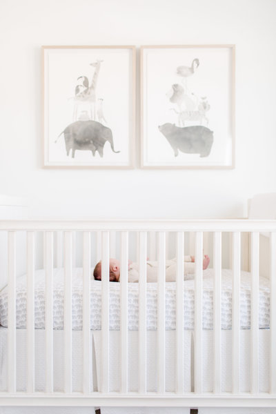 northern virginia birth photographer tips lifestyle newborn session