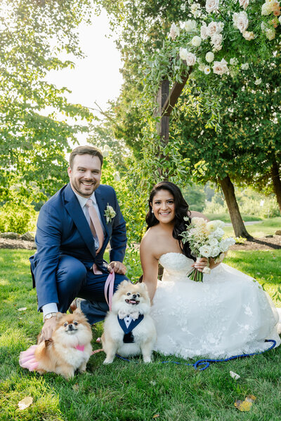 Bride and Groom with dogs at wedding, wedding venue was Connemara House